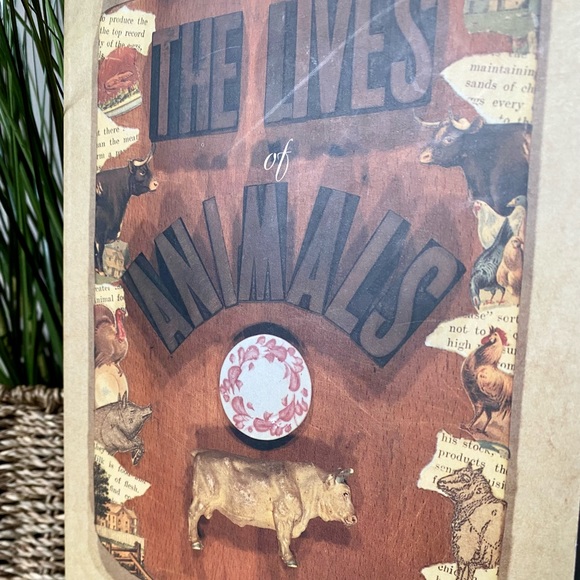 🆑The Lives of Animals by J.M. Coetzee. Good Condition. - Picture 2 of 7